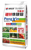 硼锌铁镁钼