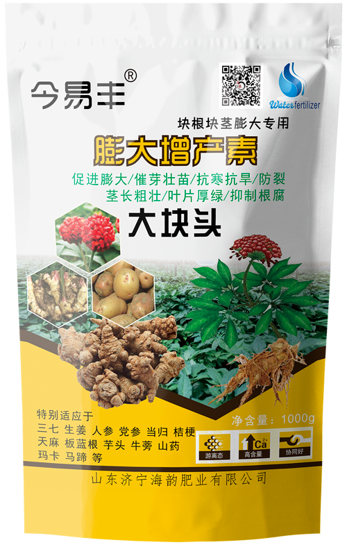 大块头1.png